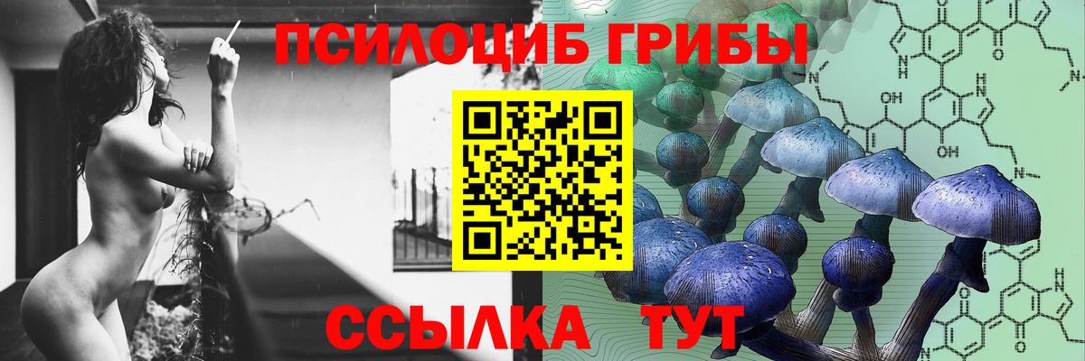 Псилоцибиновые грибы ЛСД  Вход с VPN  как найти закладки  Новороссийск 
